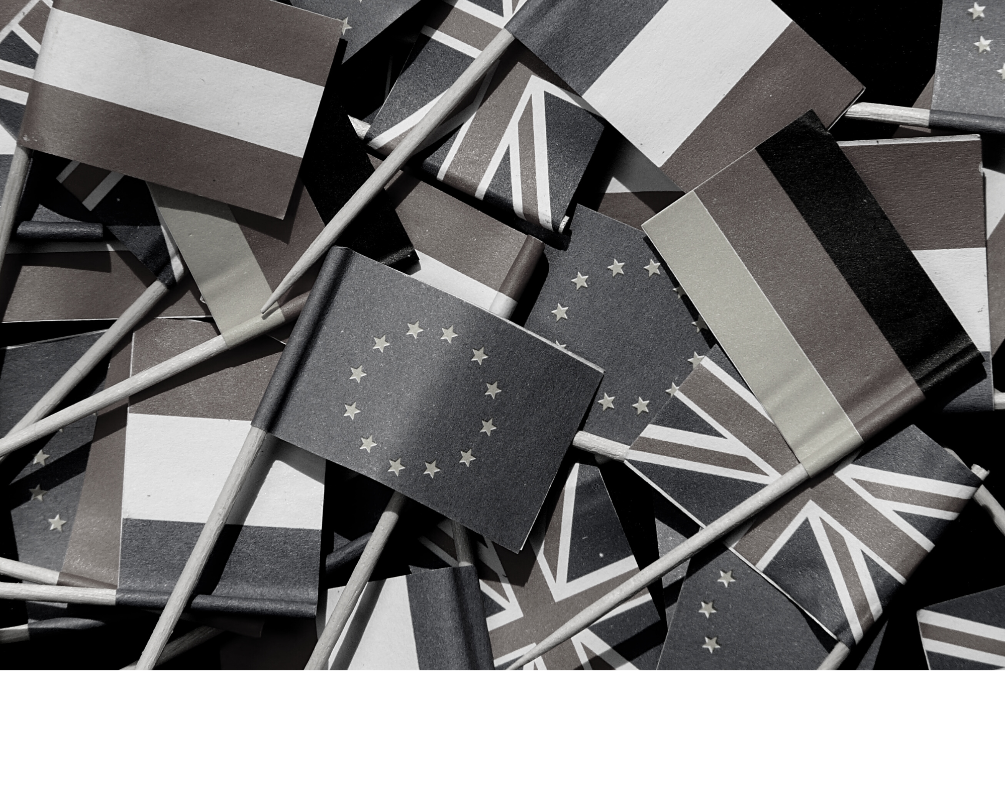 Not launching in Europe is not the solution. European access preparedness – growing opportunities and risk mitigation